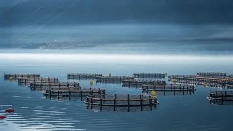 海水養殖行業