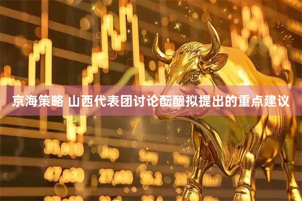 京海策略 山西代表团讨论酝酿拟提出的重点建议