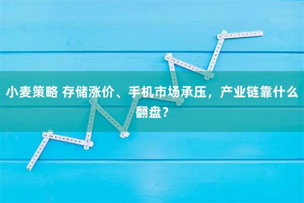 小麦策略 存储涨价、手机市场承压，产业链靠什么翻盘？